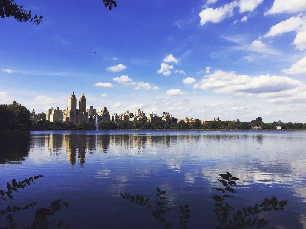 oh my god twitter doesn’t include alt text from images in their API