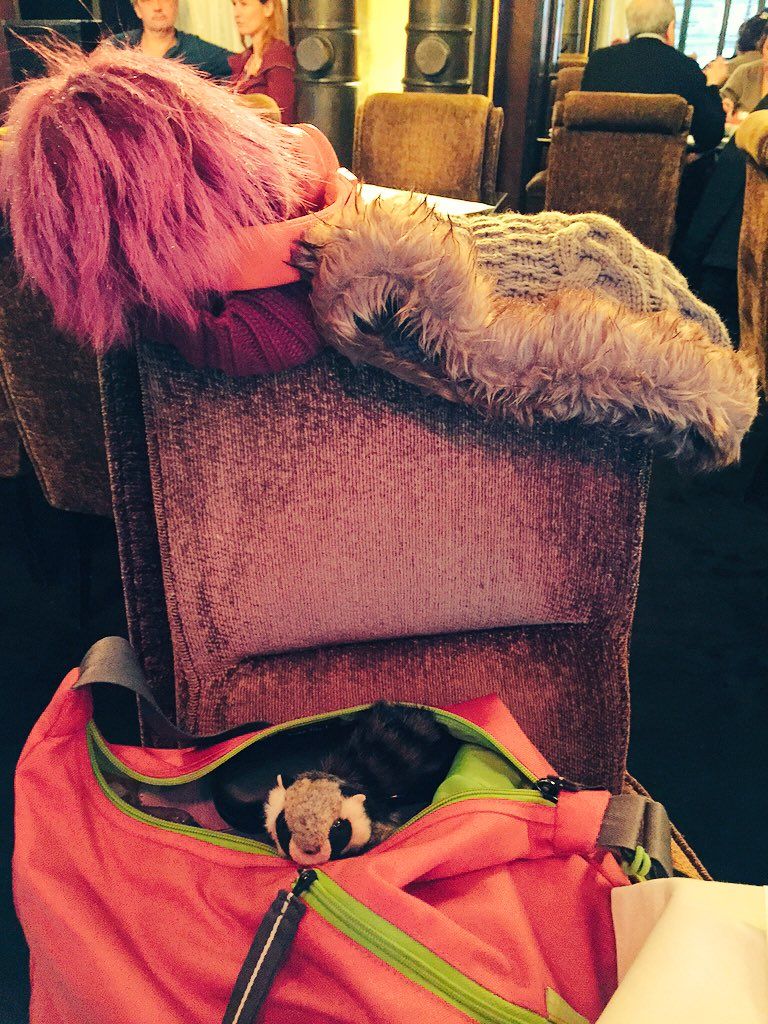 oh my god twitter doesn’t include alt text from images in their API