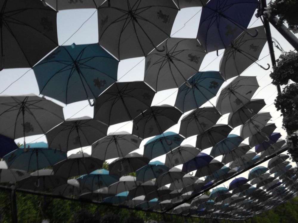 oh my god twitter doesn’t include alt text from images in their API