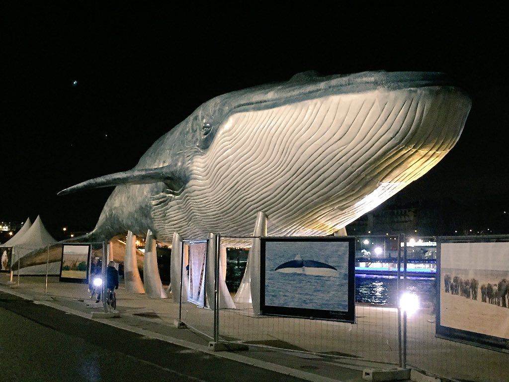 oh my god twitter doesn’t include alt text from images in their API