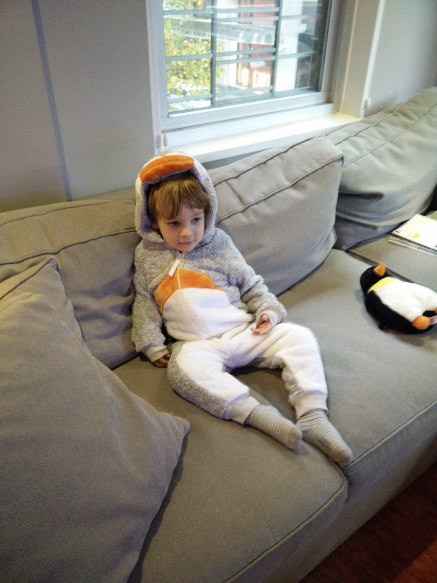 oh my god twitter doesn’t include alt text from images in their API