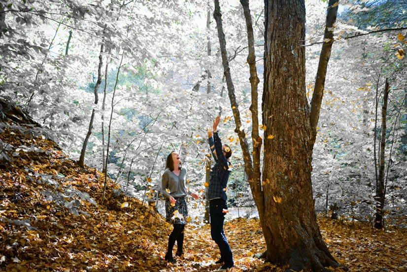 oh my god twitter doesn’t include alt text from images in their API