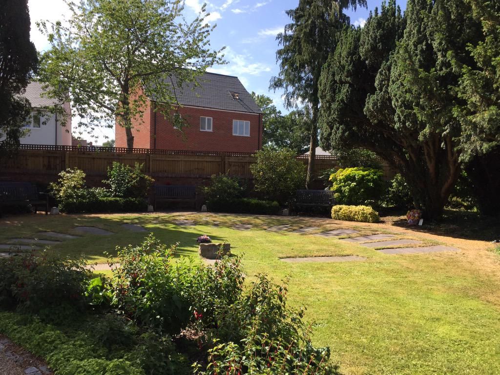 oh my god twitter doesn’t include alt text from images in their API