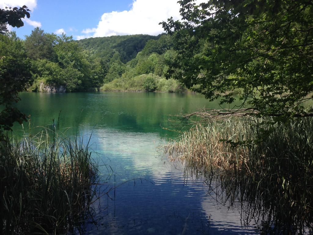 oh my god twitter doesn’t include alt text from images in their API