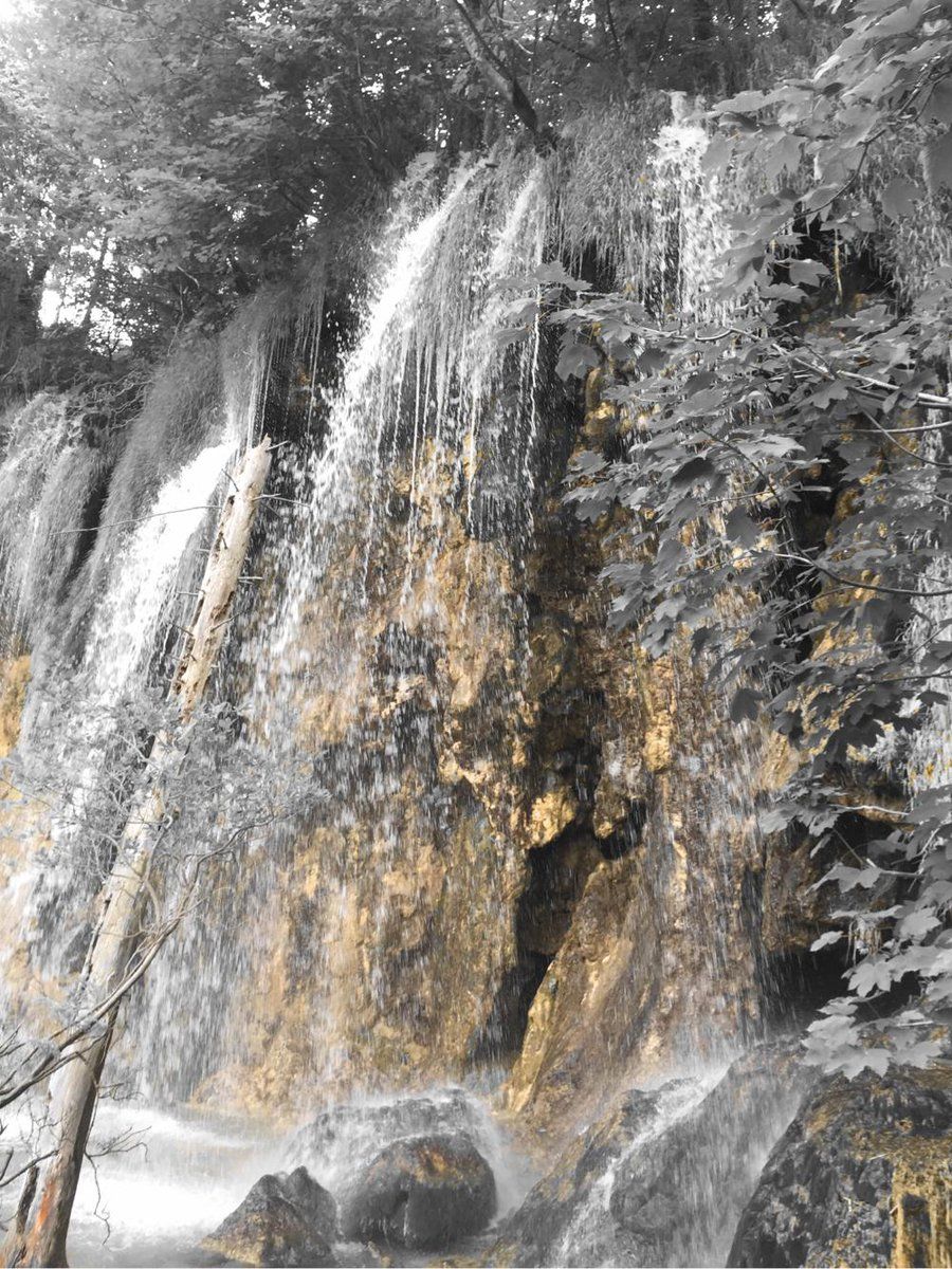 oh my god twitter doesn’t include alt text from images in their API