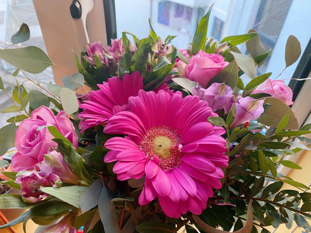 oh my god twitter doesn’t include alt text from images in their API