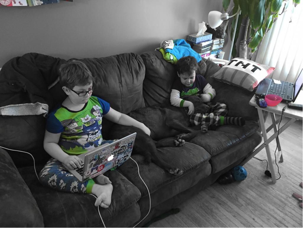 oh my god twitter doesn’t include alt text from images in their API