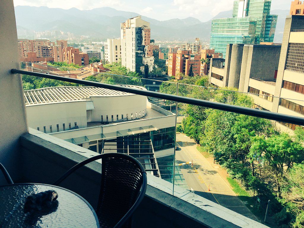 oh my god twitter doesn’t include alt text from images in their API