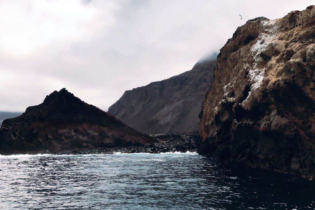 oh my god twitter doesn’t include alt text from images in their API