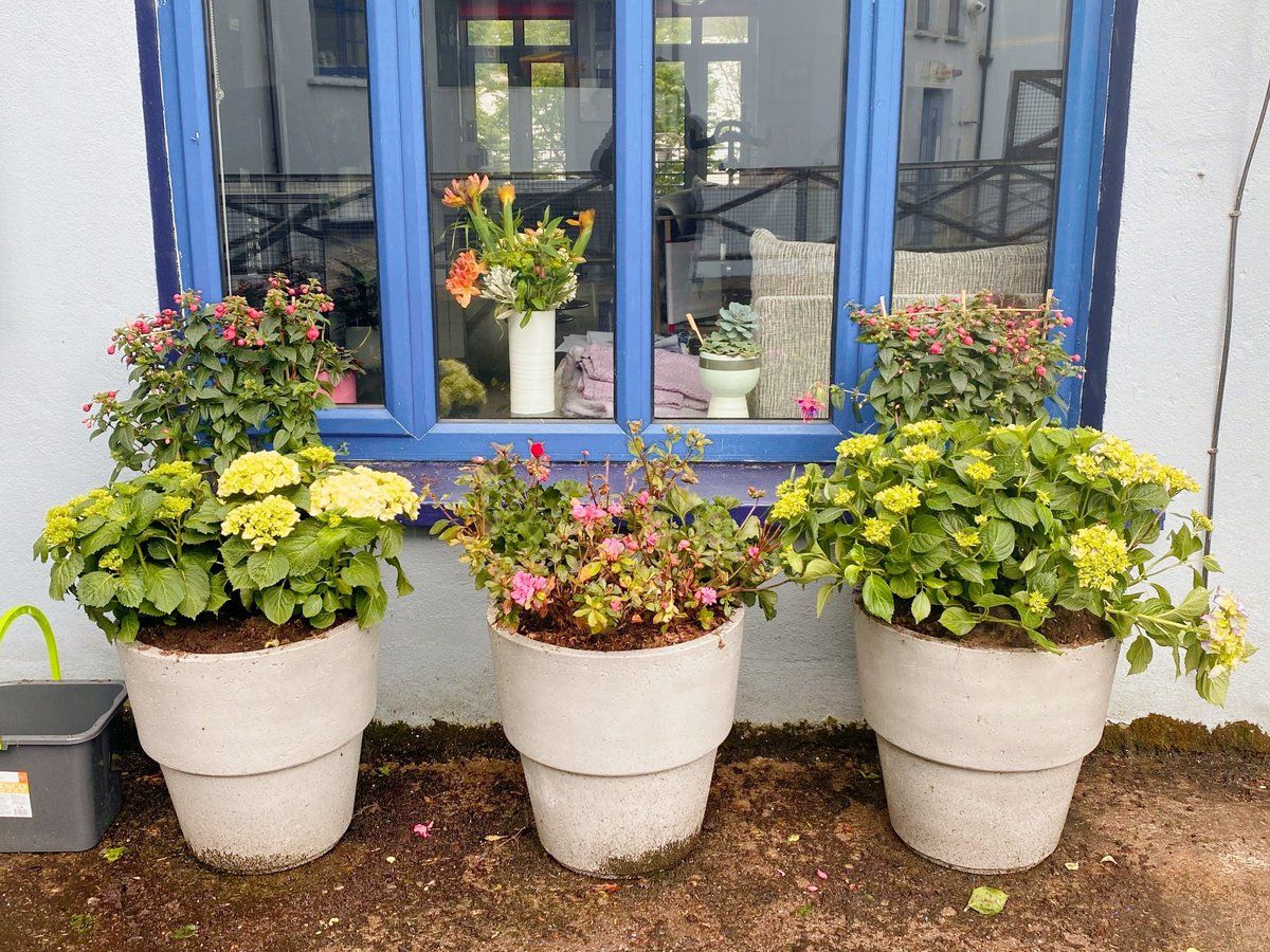 oh my god twitter doesn’t include alt text from images in their API