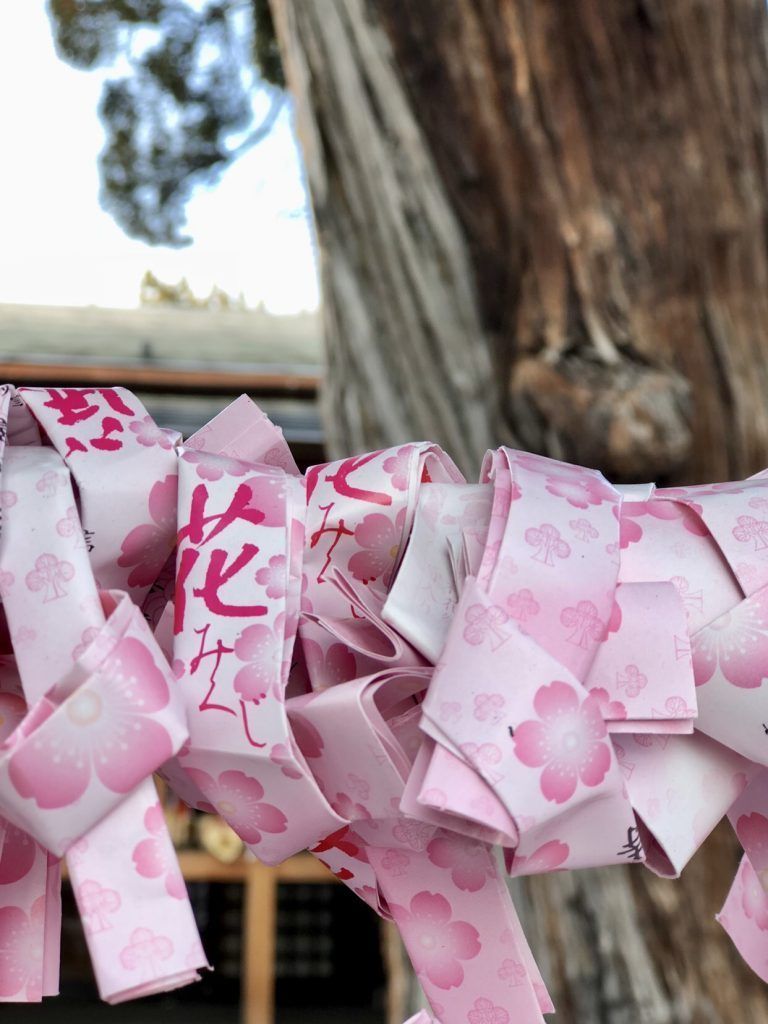 oh my god twitter doesn’t include alt text from images in their API