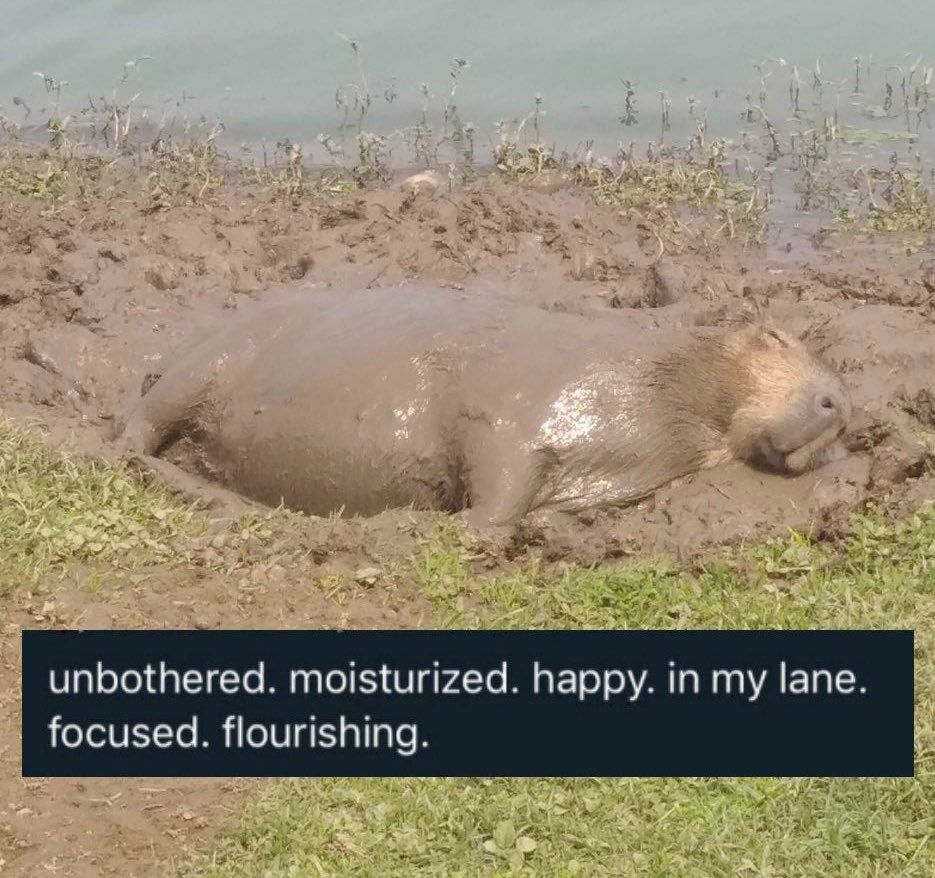 oh my god twitter doesn’t include alt text from images in their API