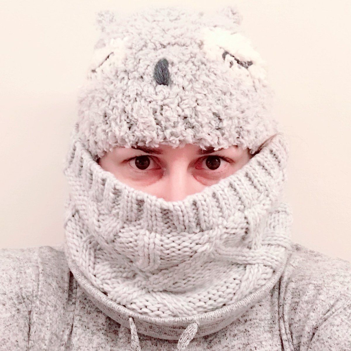 oh my god twitter doesn’t include alt text from images in their API