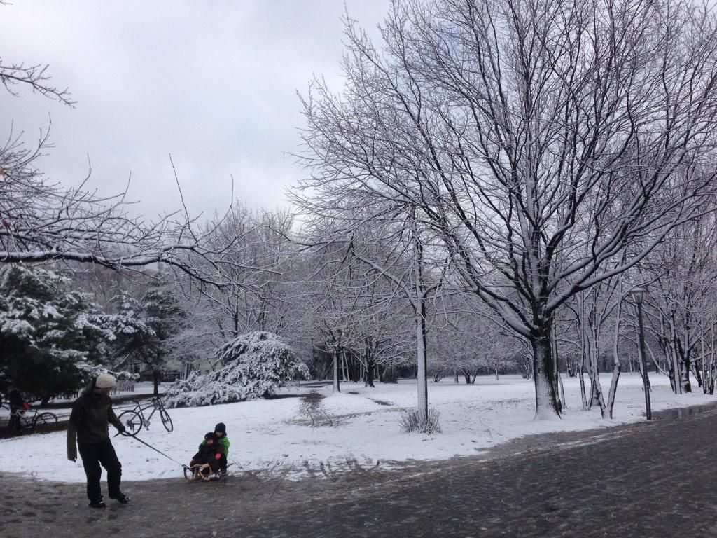 oh my god twitter doesn’t include alt text from images in their API