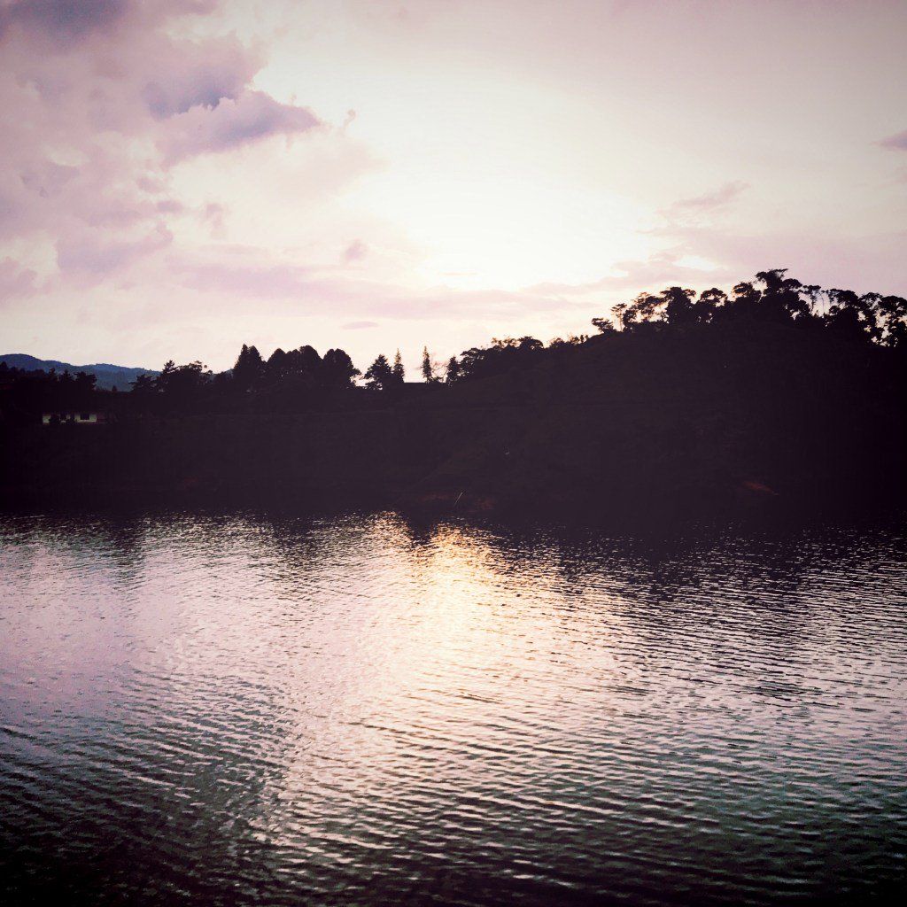 oh my god twitter doesn’t include alt text from images in their API