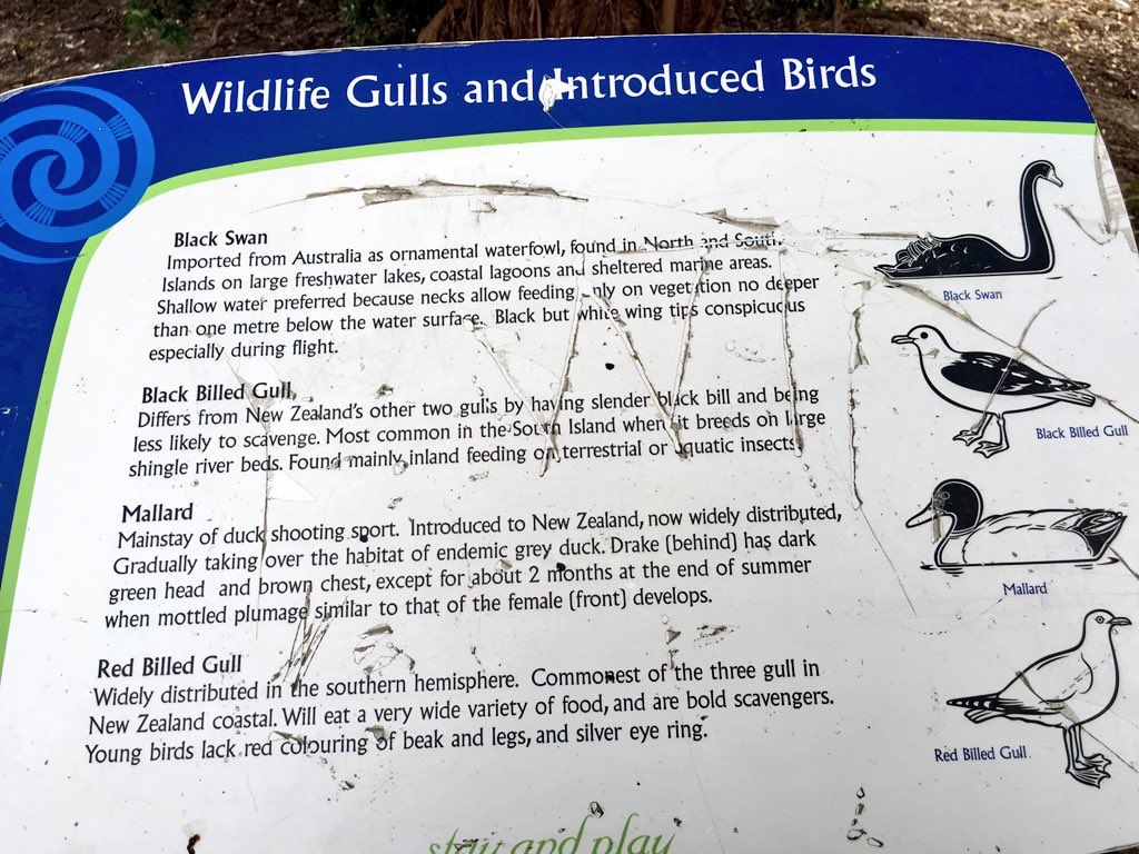 oh my god twitter doesn’t include alt text from images in their API