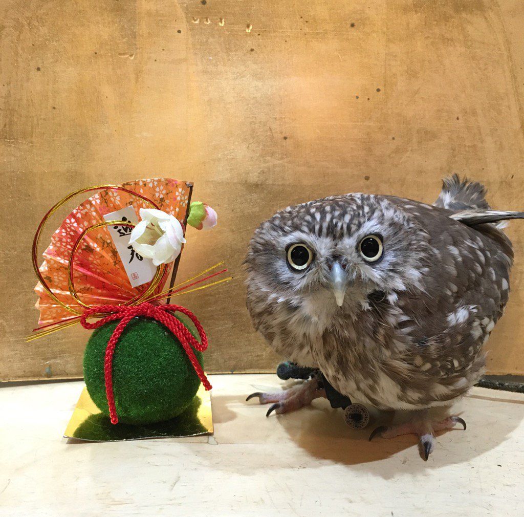 oh my god twitter doesn’t include alt text from images in their API