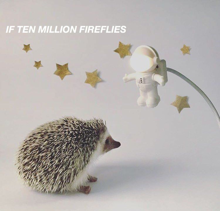 oh my god twitter doesn’t include alt text from images in their API