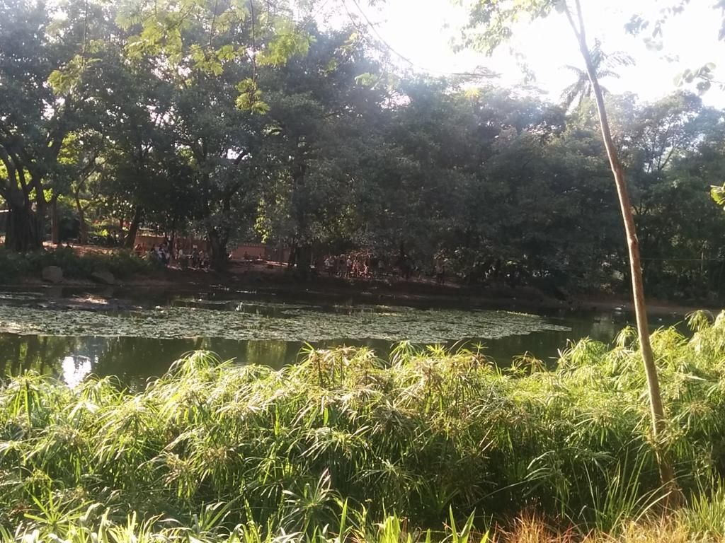 oh my god twitter doesn’t include alt text from images in their API