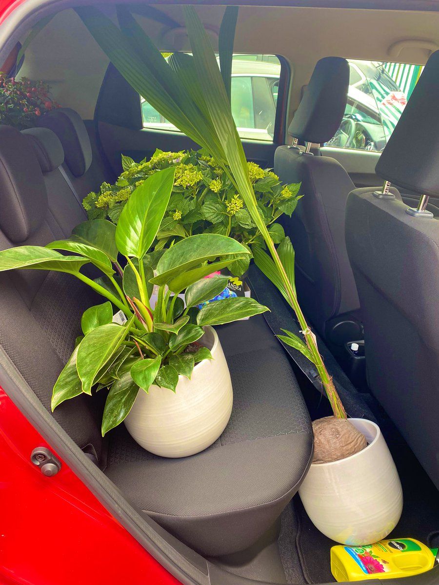 oh my god twitter doesn’t include alt text from images in their API