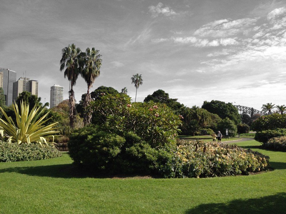 oh my god twitter doesn’t include alt text from images in their API