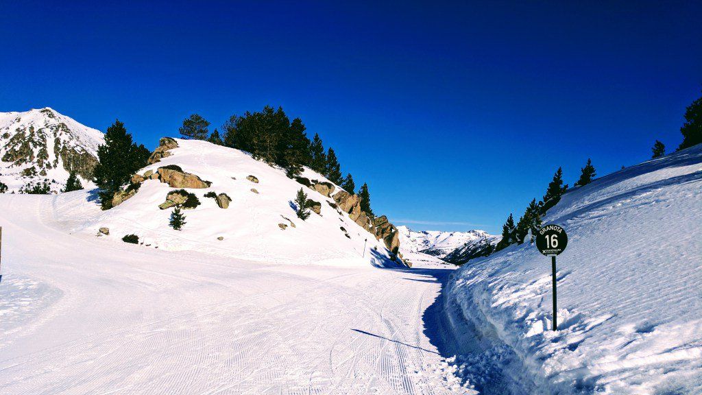 oh my god twitter doesn’t include alt text from images in their API