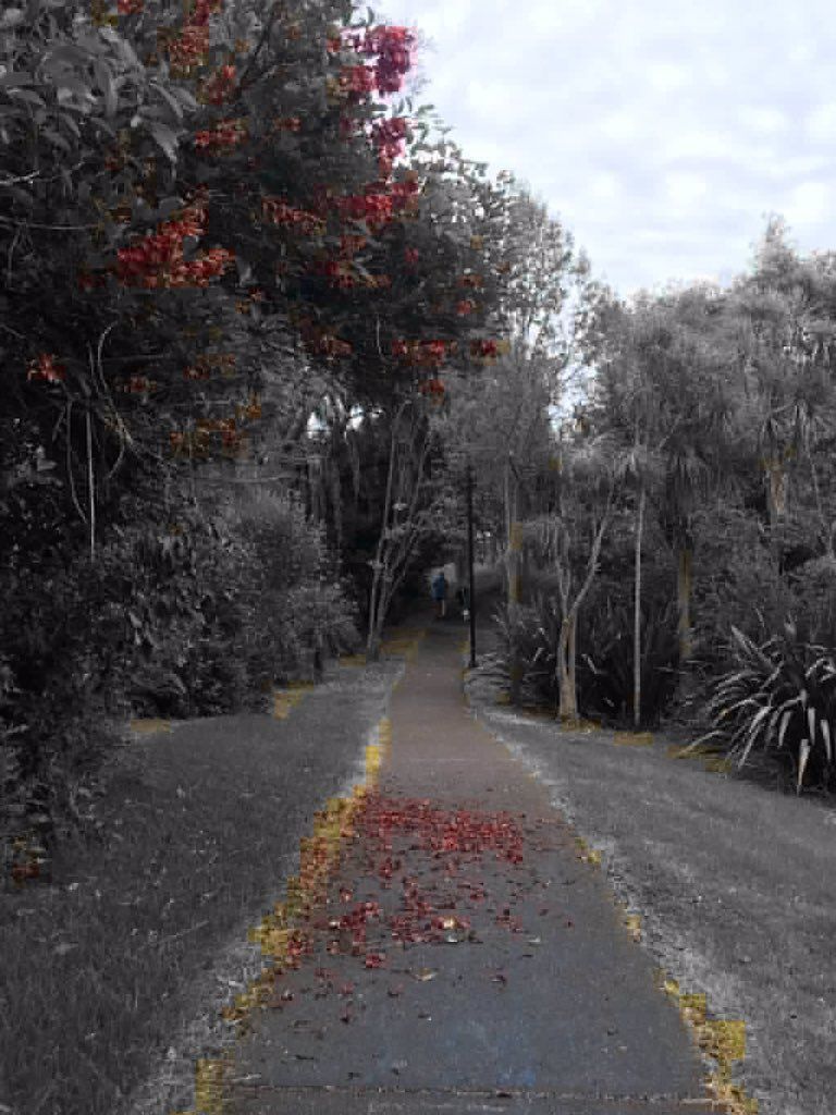 oh my god twitter doesn’t include alt text from images in their API