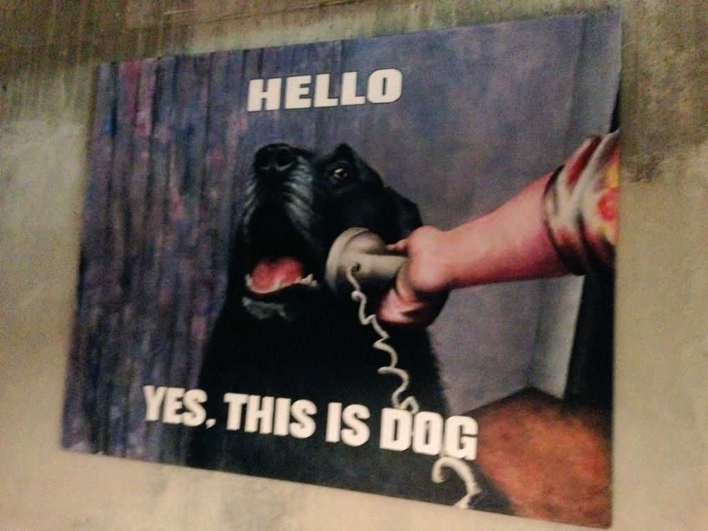 oh my god twitter doesn’t include alt text from images in their API