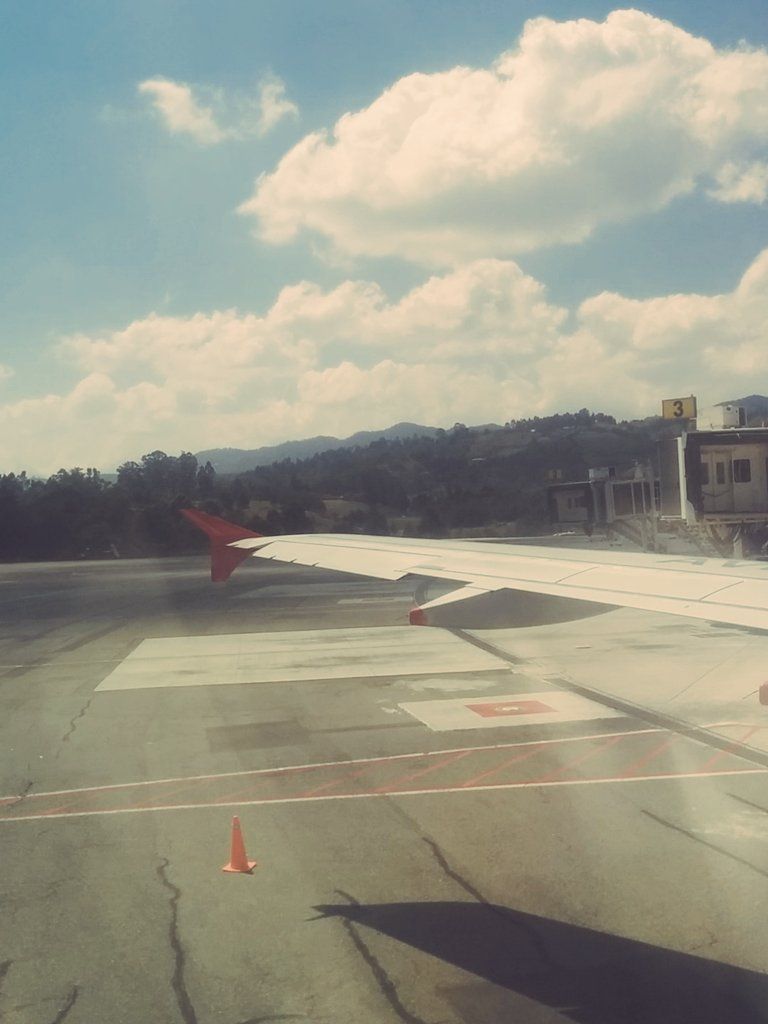 oh my god twitter doesn’t include alt text from images in their API