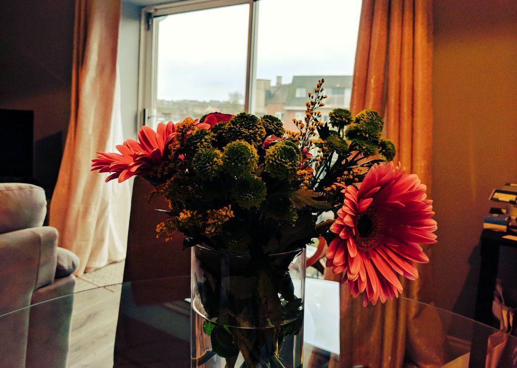 oh my god twitter doesn’t include alt text from images in their API