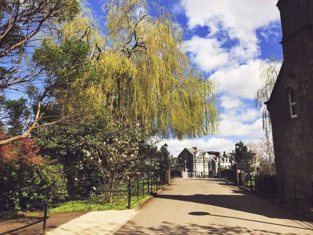 oh my god twitter doesn’t include alt text from images in their API