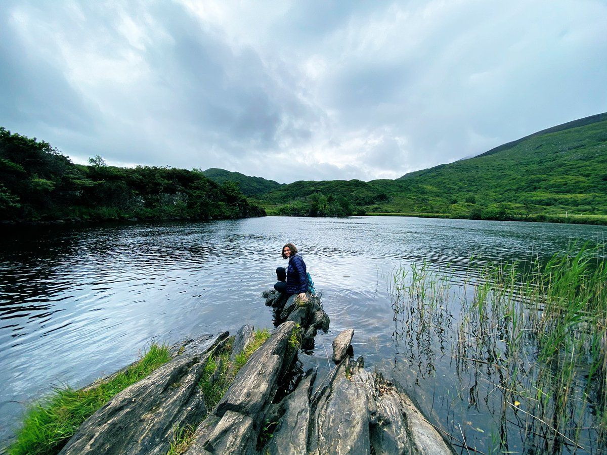 oh my god twitter doesn’t include alt text from images in their API