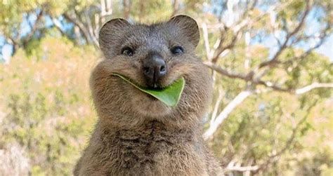 oh my god twitter doesn’t include alt text from images in their API