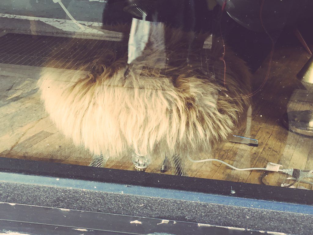 oh my god twitter doesn’t include alt text from images in their API