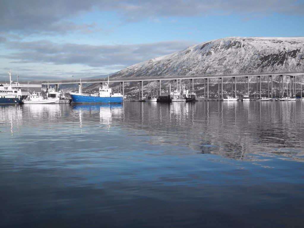 oh my god twitter doesn’t include alt text from images in their API