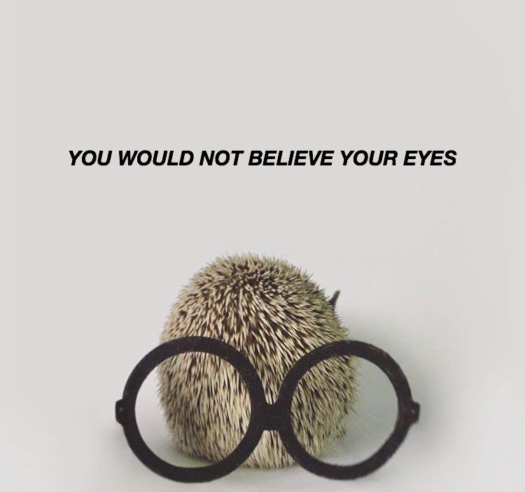 oh my god twitter doesn’t include alt text from images in their API