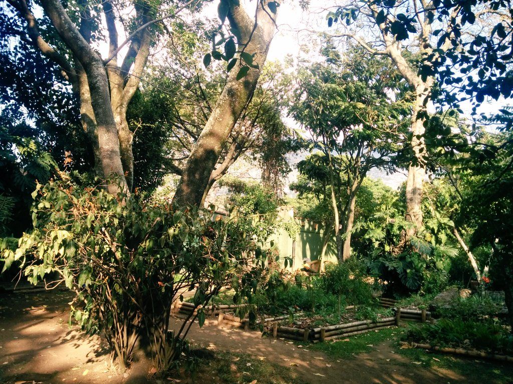 oh my god twitter doesn’t include alt text from images in their API