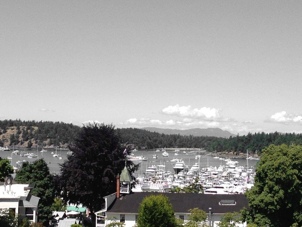 oh my god twitter doesn’t include alt text from images in their API