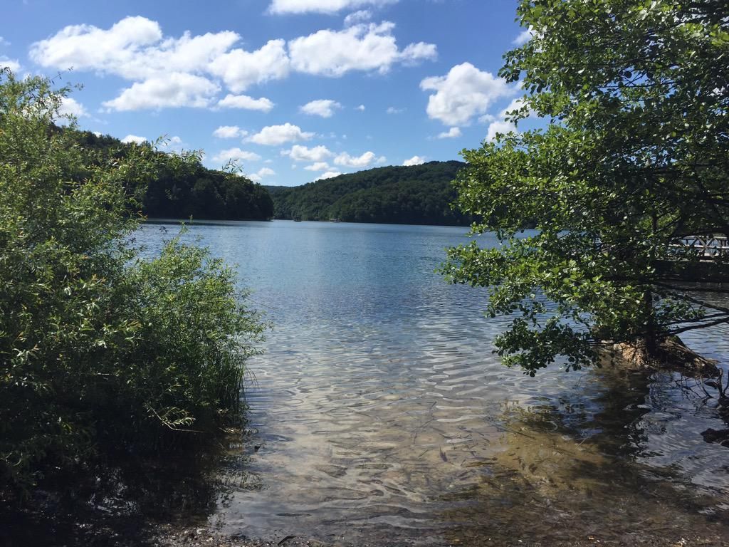 oh my god twitter doesn’t include alt text from images in their API