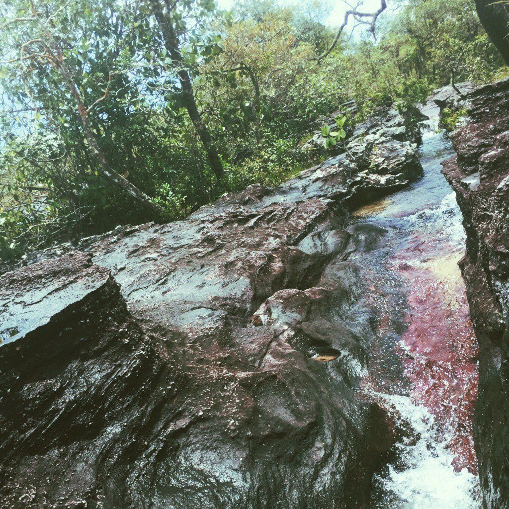 oh my god twitter doesn’t include alt text from images in their API