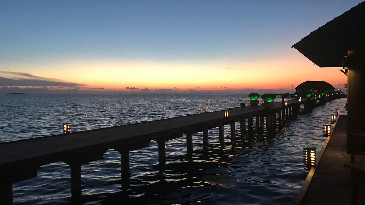 oh my god twitter doesn’t include alt text from images in their API