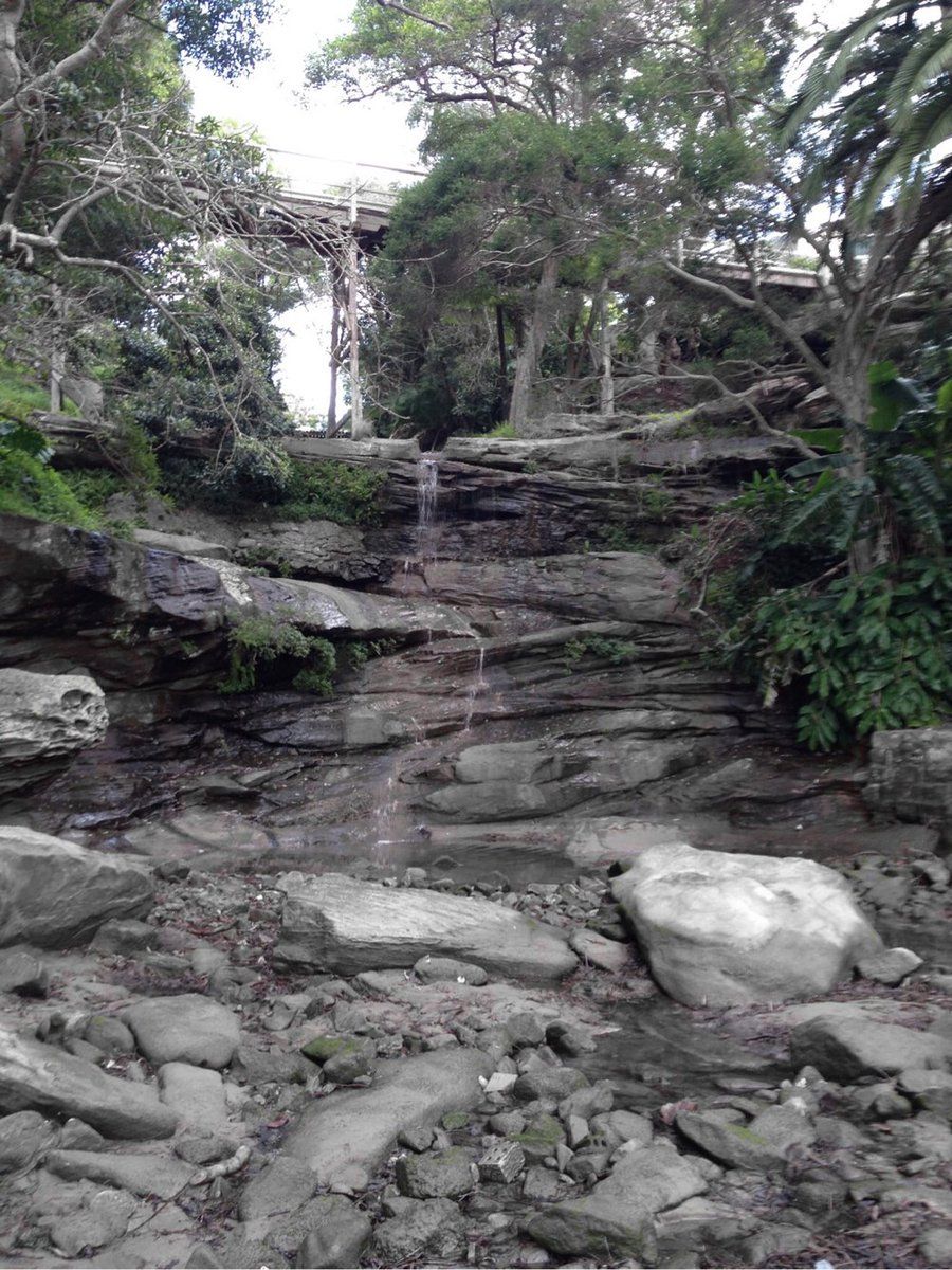 oh my god twitter doesn’t include alt text from images in their API