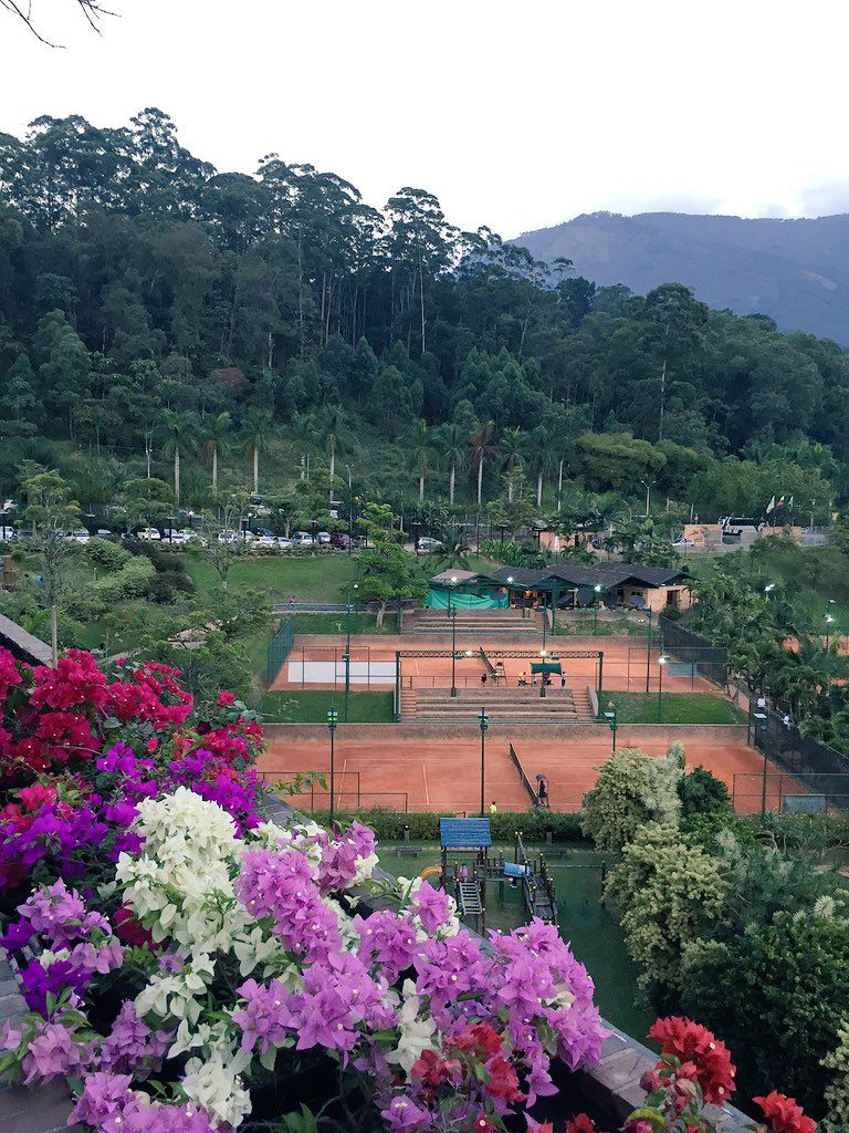 oh my god twitter doesn’t include alt text from images in their API