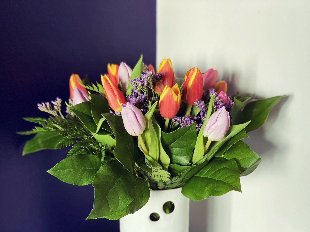 oh my god twitter doesn’t include alt text from images in their API