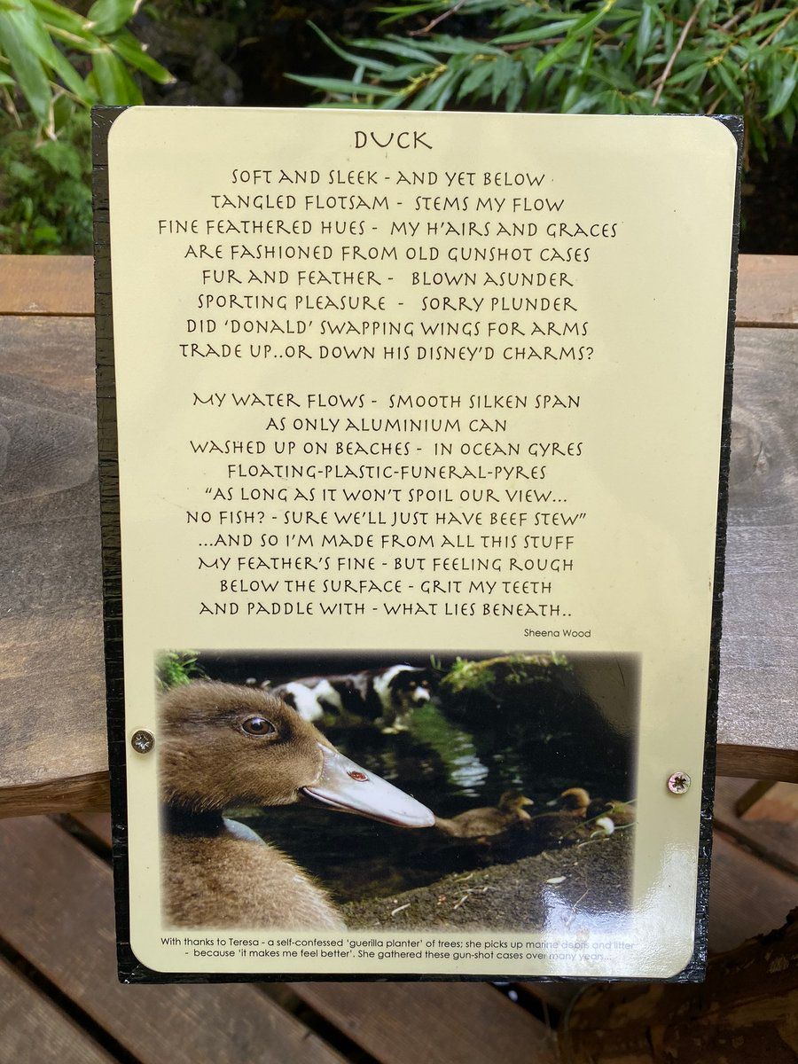 oh my god twitter doesn’t include alt text from images in their API