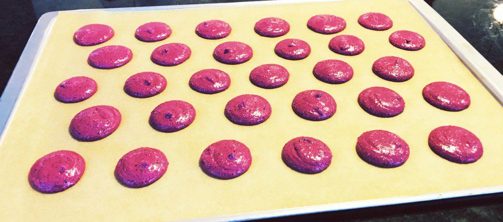 oh my god twitter doesn’t include alt text from images in their API