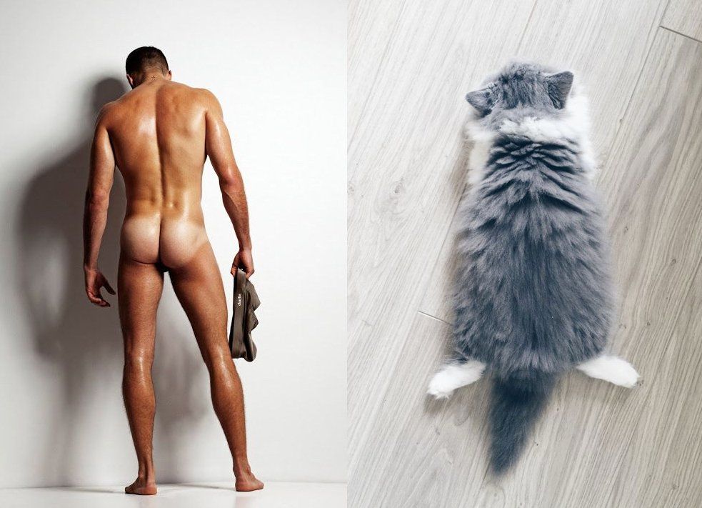 oh my god twitter doesn’t include alt text from images in their API