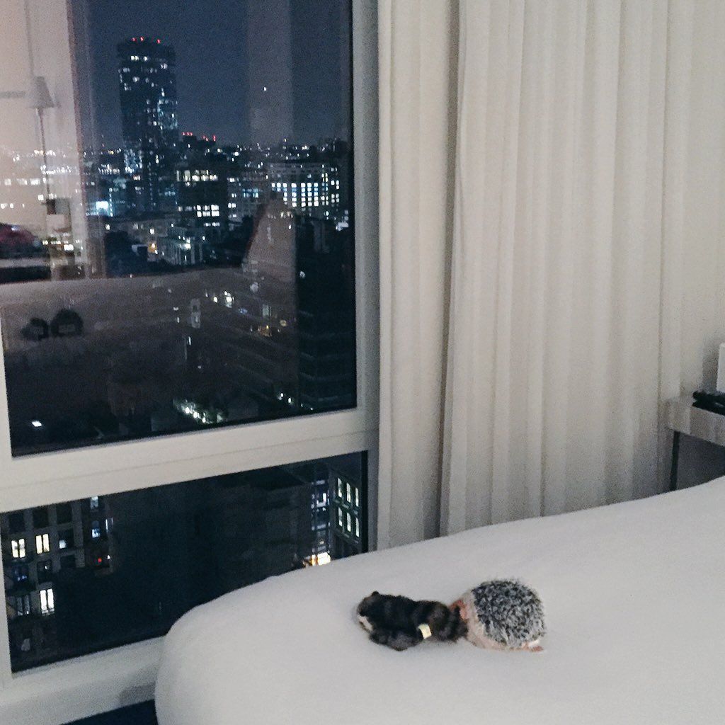 oh my god twitter doesn’t include alt text from images in their API