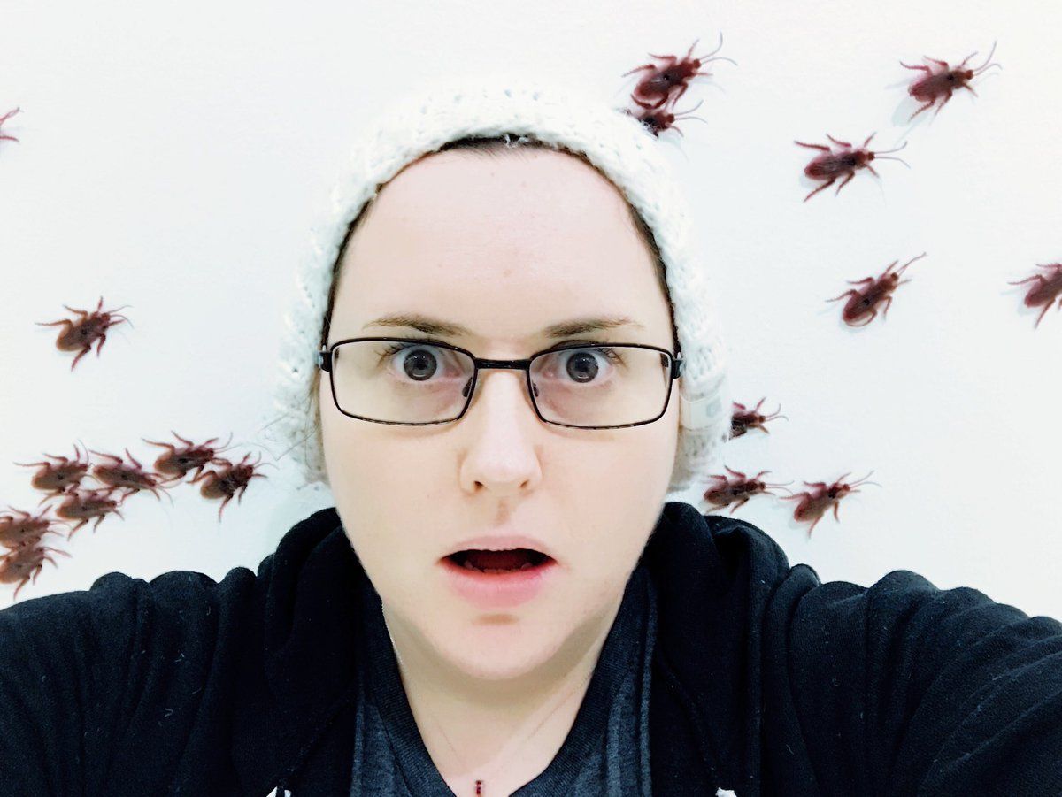 oh my god twitter doesn’t include alt text from images in their API