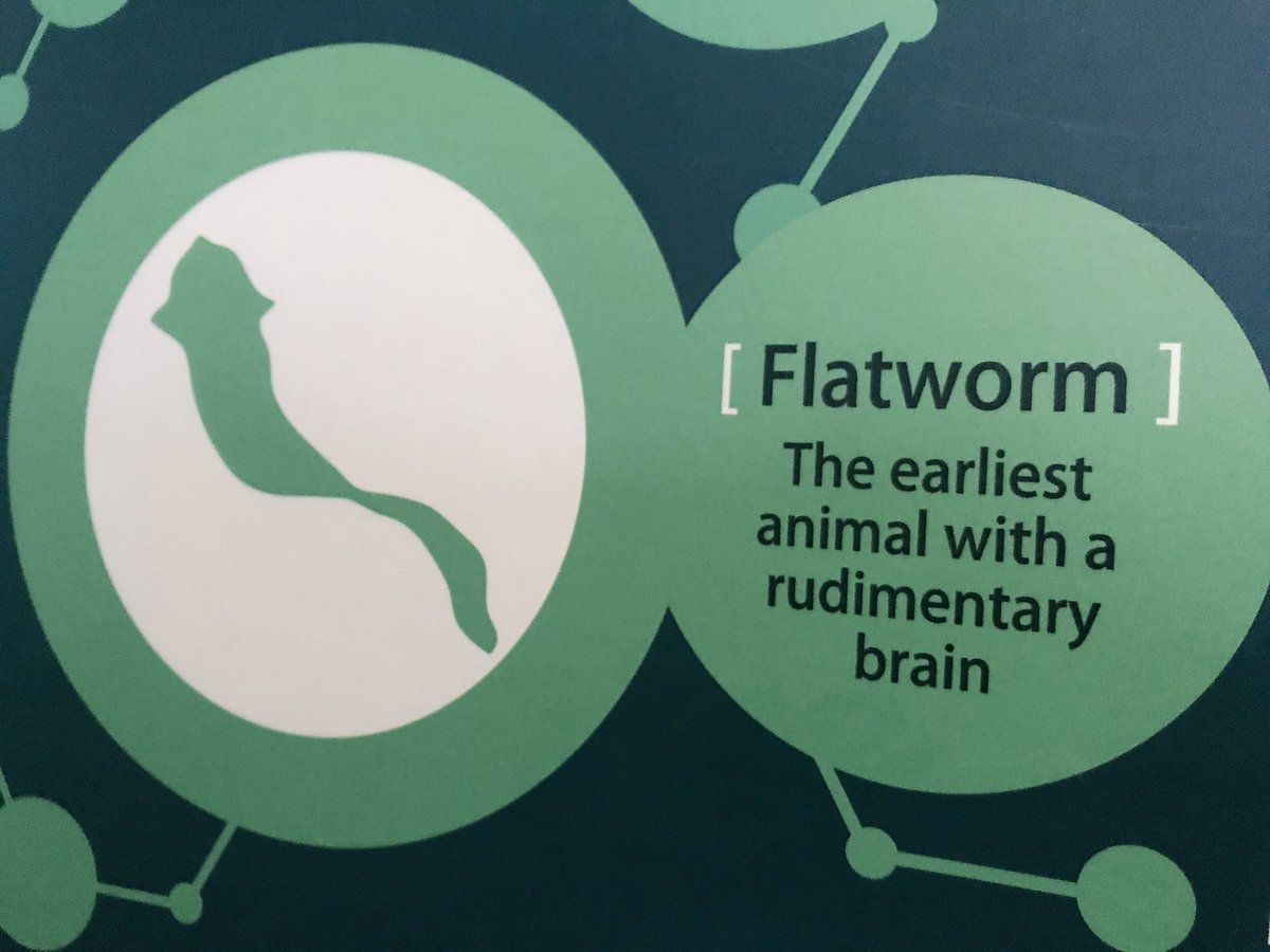 oh my god twitter doesn’t include alt text from images in their API